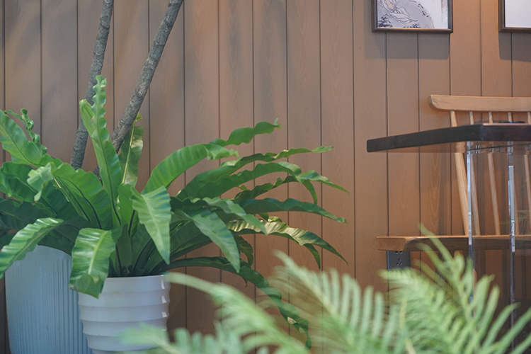 zoty中欧·(中国有限公司)官方网站