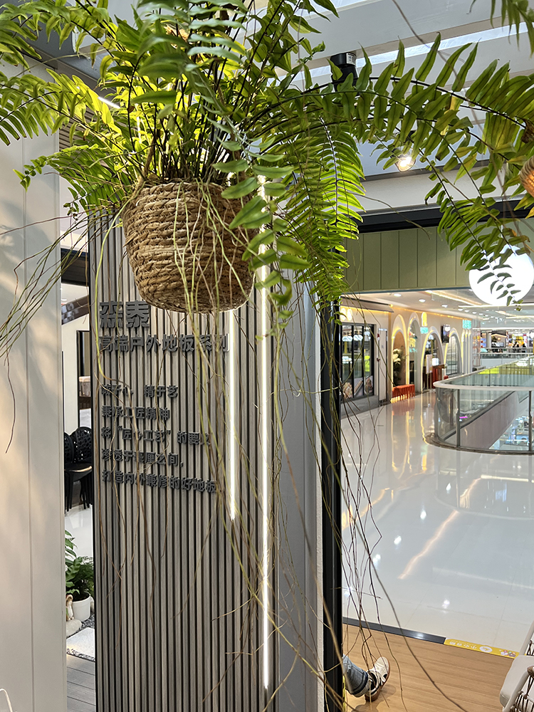 zoty中欧·(中国有限公司)官方网站