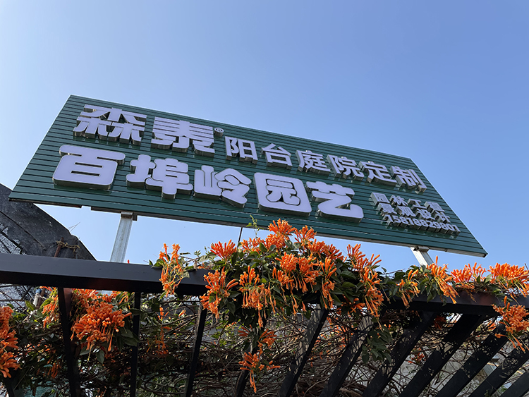 zoty中欧·(中国有限公司)官方网站