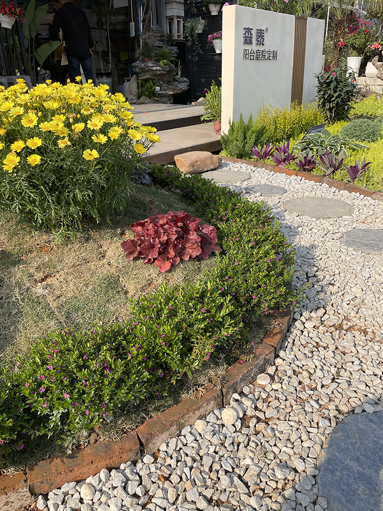 zoty中欧·(中国有限公司)官方网站