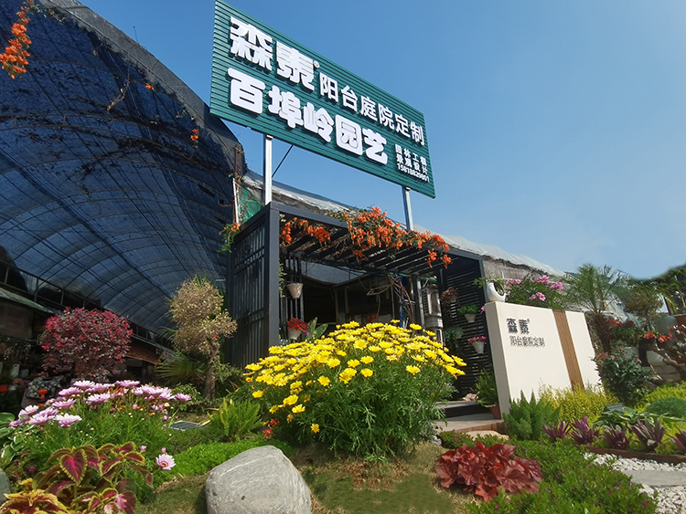 zoty中欧·(中国有限公司)官方网站